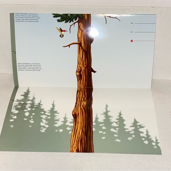 2004 Golden Gate National Parks Conservancy Tallest Tree 6 Foot Growth Chart - Picture 6 of 16